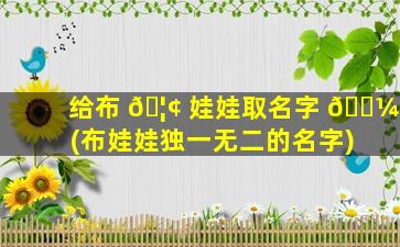 给布 🦢 娃娃取名字 🐼 (布娃娃独一无二的名字)